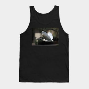 Australian White Ibis Flying, South Australia Tank Top